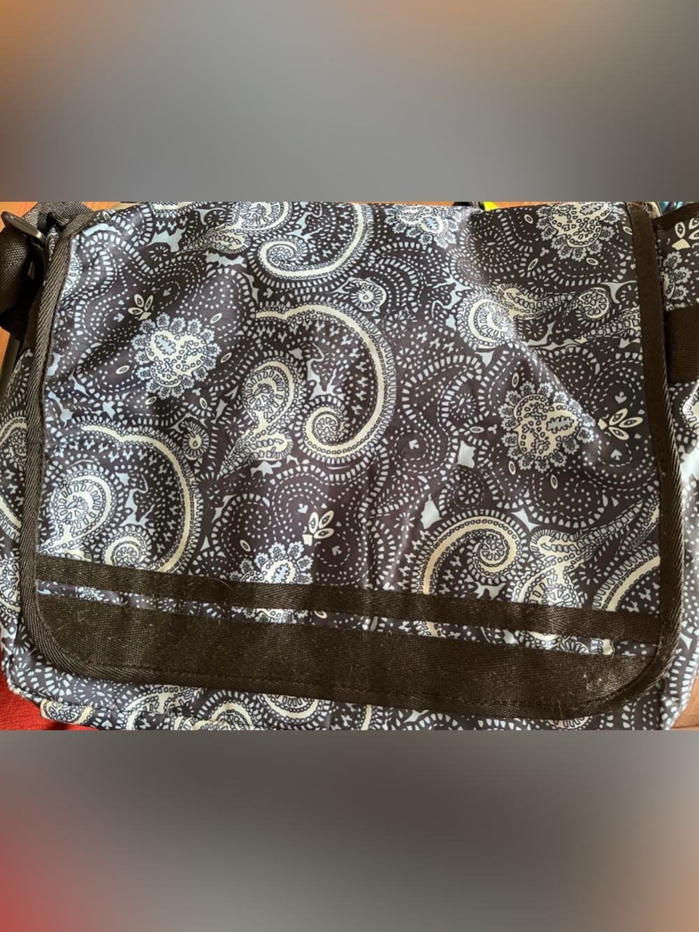 Blue Paisley Print Messenger/Computer bag